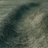 loom of the carpet bamboo shaded alga | ikonitaly
