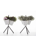 danese milano window garden table vases - ikonitaly