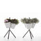 danese milano window garden table vases - ikonitaly