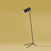 nemo claritas floor lamp in nero, black