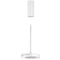 panzeri bella suspension lamp with canopy