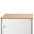 magis theca sideboard with sliding doors veneered walnut, natural | ikonitaly